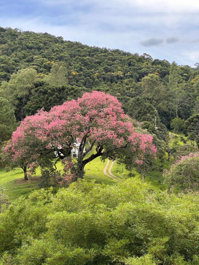 Recanto São Francisco photo 2