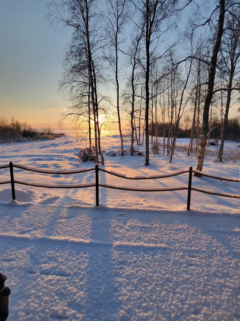 Villa Terwaluoto photo 1