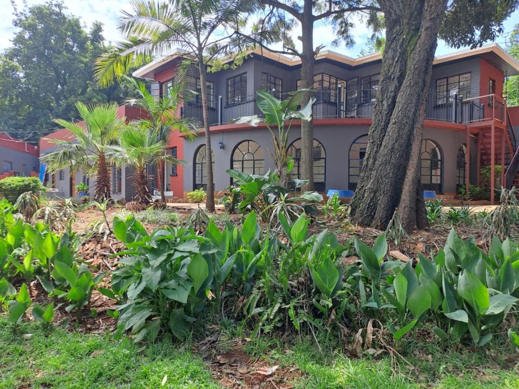 Better Life Guesthouse