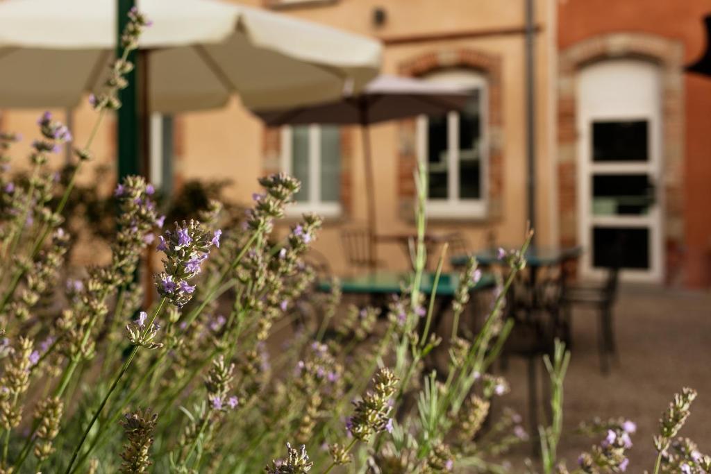 ibis Styles Toulouse Lavaur photo 3