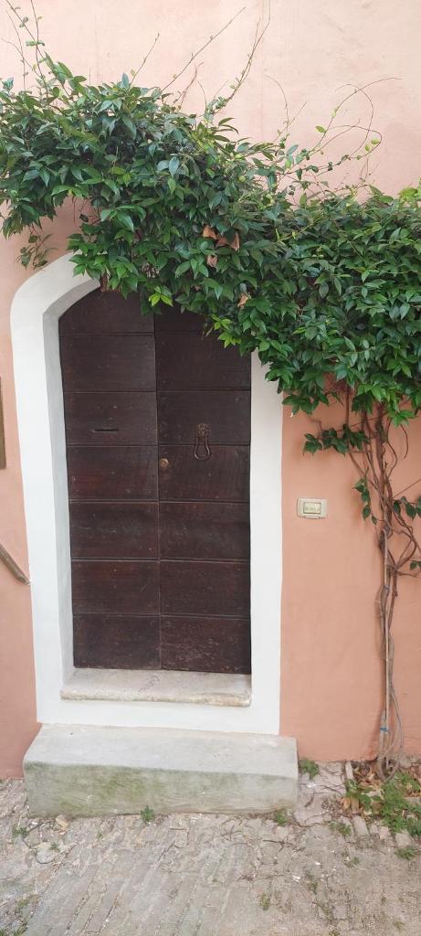 House of Leaves photo 1