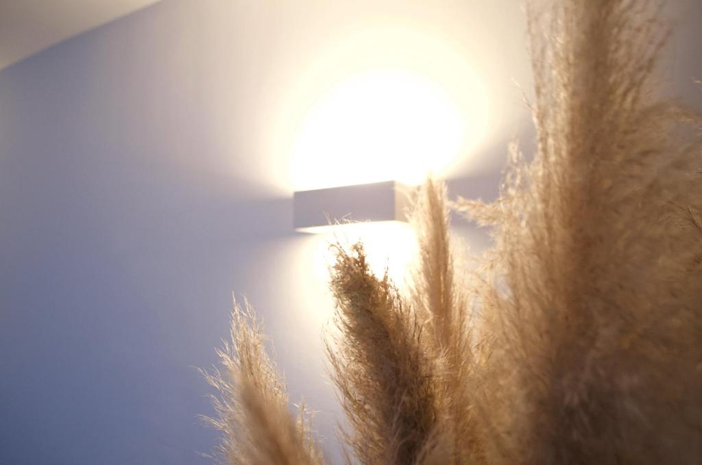 Eco-Appart'hôtel Rouen -- BDE (Eco-Appart'hotel Rouen -- BDE) - 평면도