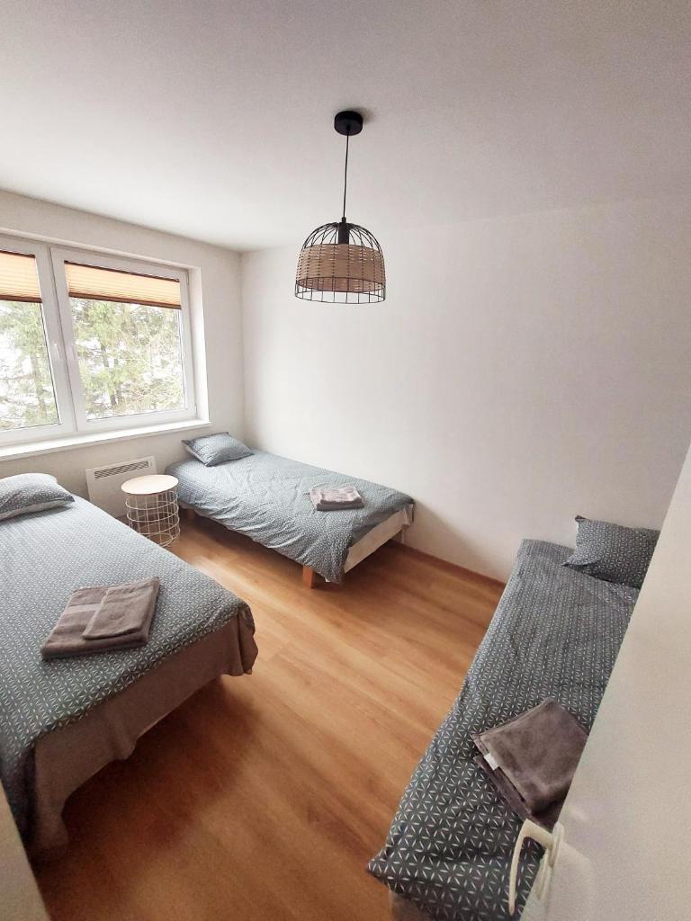 Erra Guest Apartement photo 3