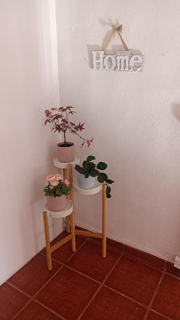 Precioso apartamento photo 4