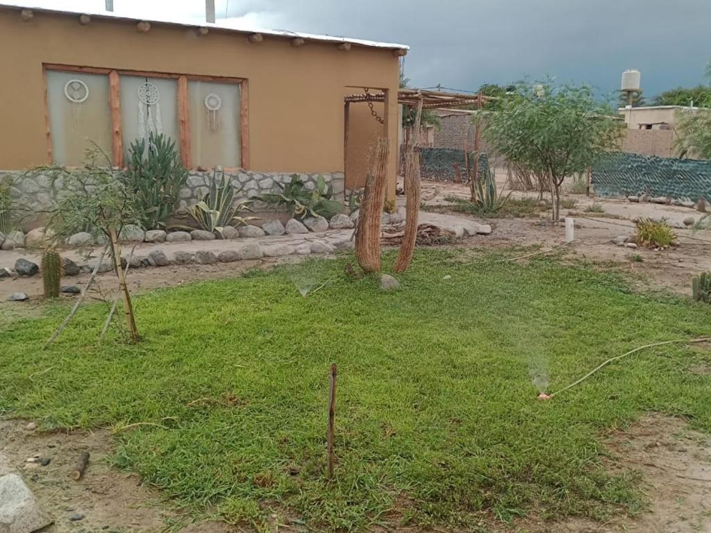 Los Chañares photo 4