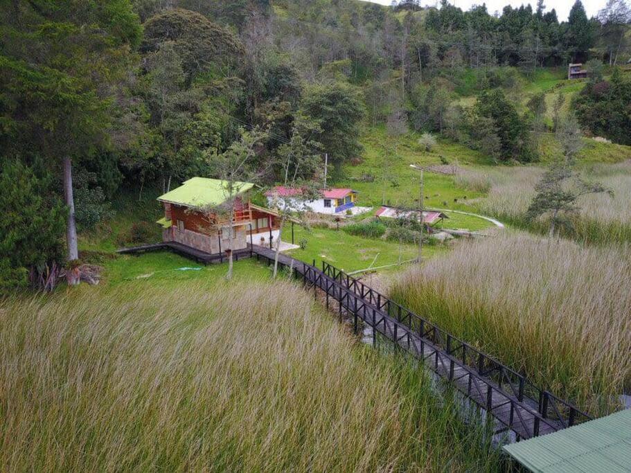 Killary, Laguna de La Cocha