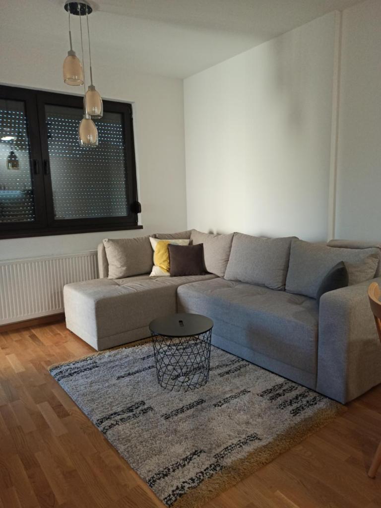 Cozy Apartment Zlatibor photo 2