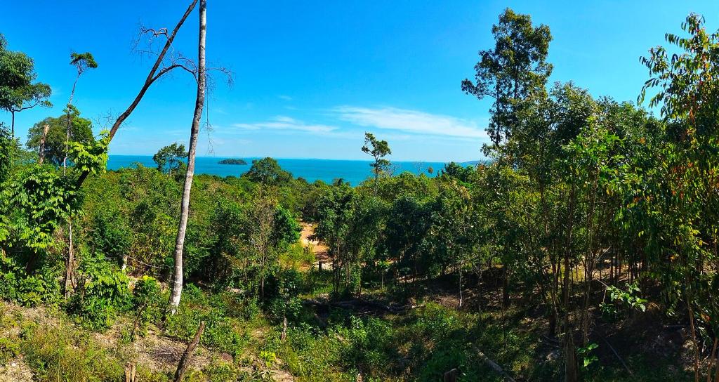 Amazing View Bungalows photo 4