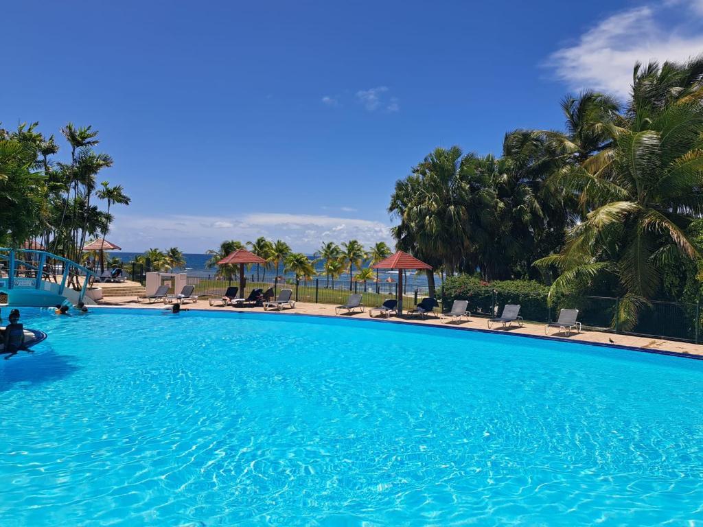 Studios Angoreva vue mer ou jardin - Village Pierre et Vacances - Sainte-Anne Guadeloupe photo 4