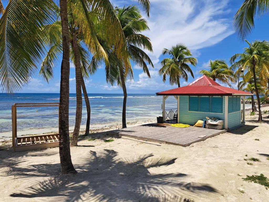 Studios Angoreva vue mer ou jardin - Village Pierre et Vacances - Sainte-Anne Guadeloupe