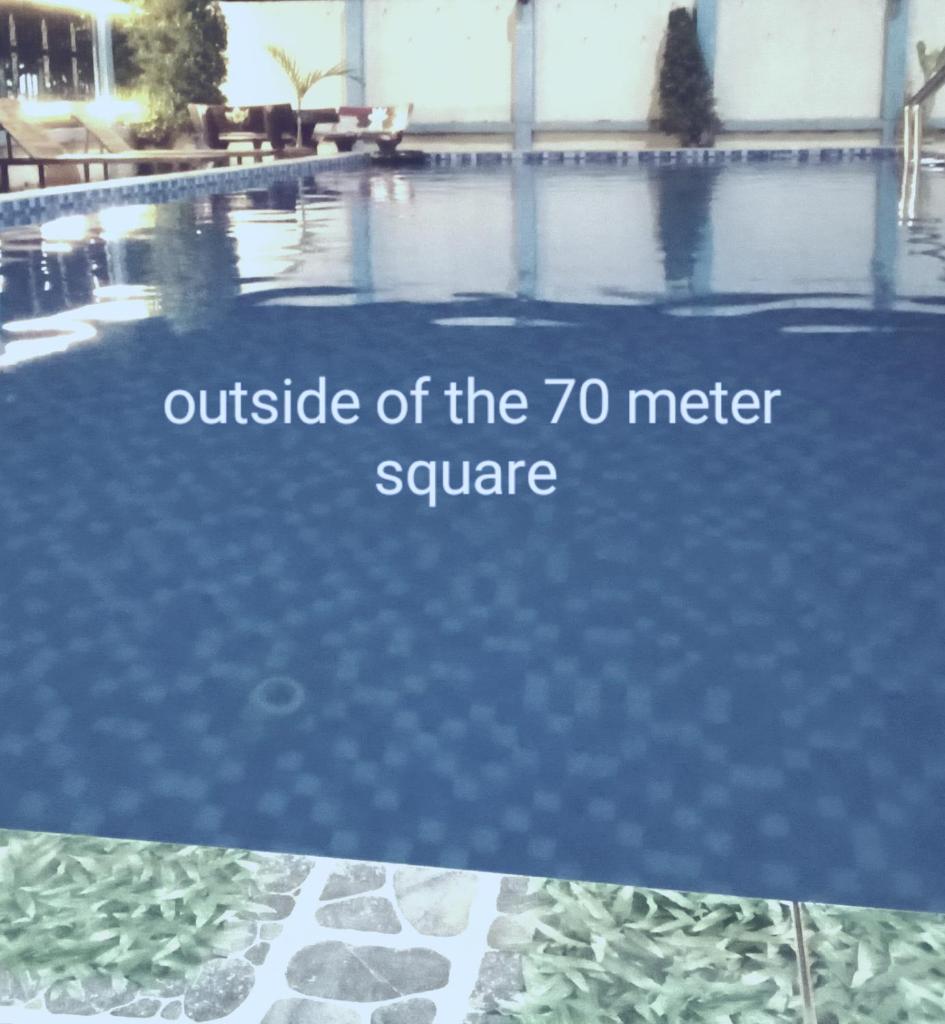 Queen"s Hotel Mountain view