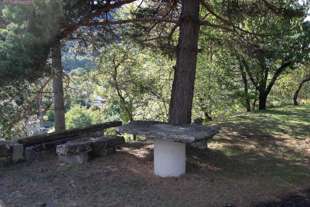 L'Oustal de Champouriès, classé 3* photo 2