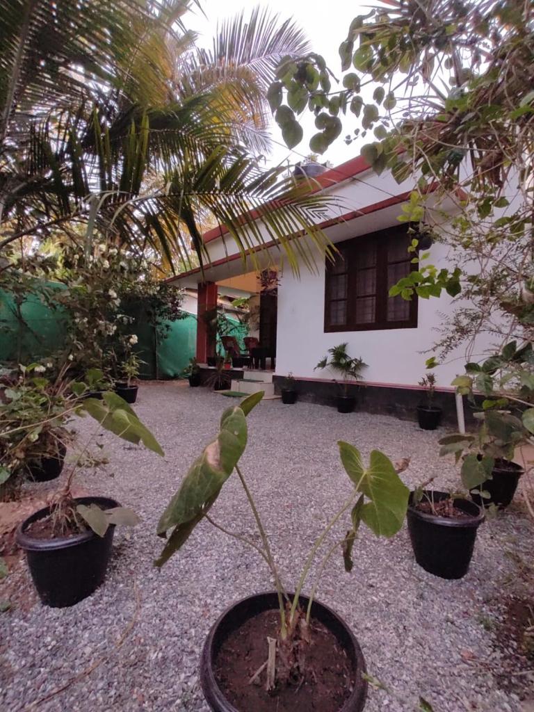 SAND BEACH HOUSE VARKALA photo 2