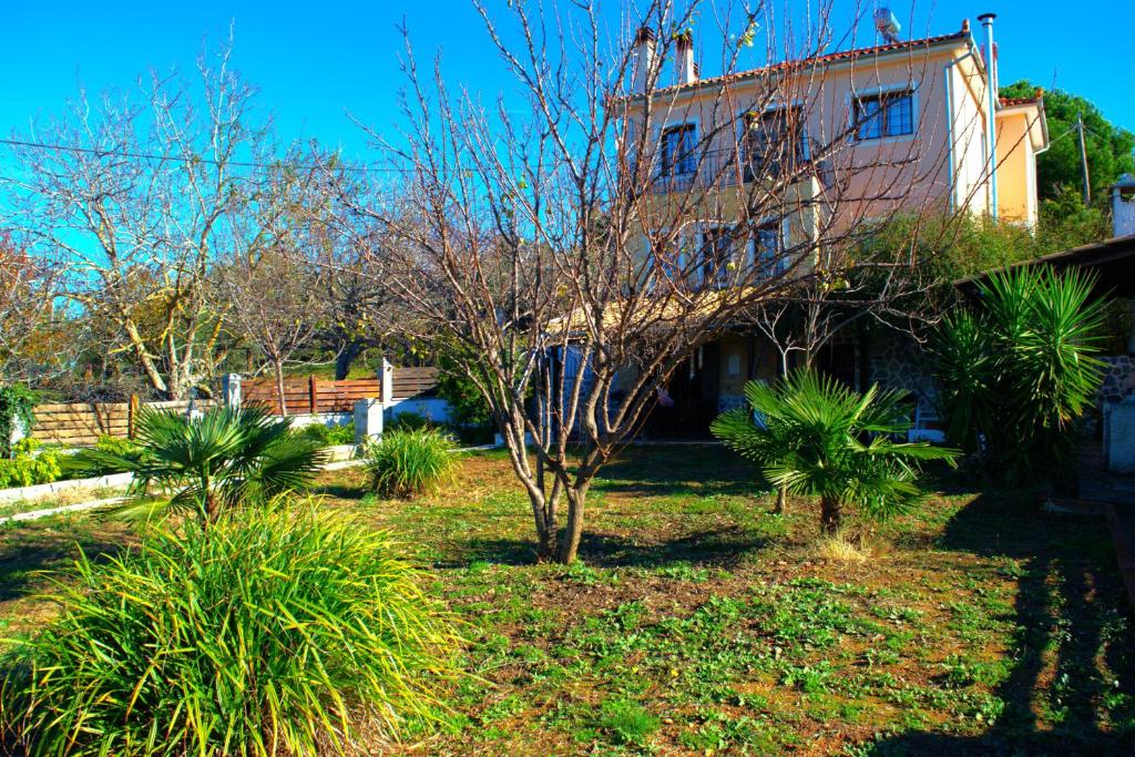 YourLittleMiracle-PanoramicView+FirePit+Garden+BBQ photo 1