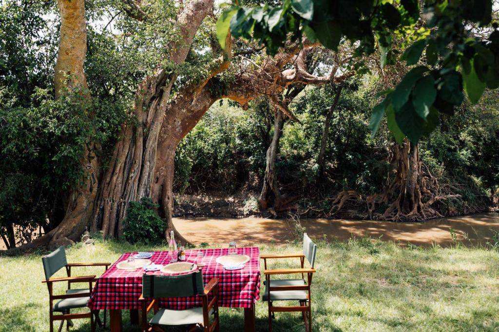 Olimba Mara Camp photo 4