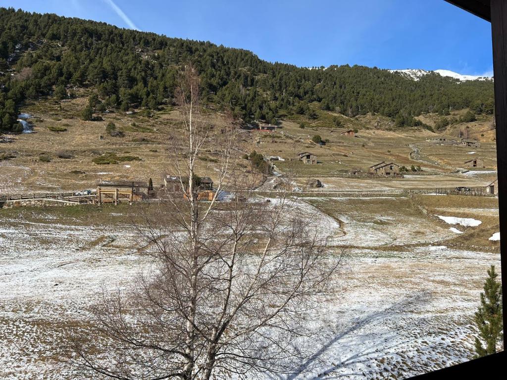 {
  "en-gb": "L'ORENETA - Peu del Riu 712 - Vall d'Incles - Soldeu Hut 8367"
} photo 3