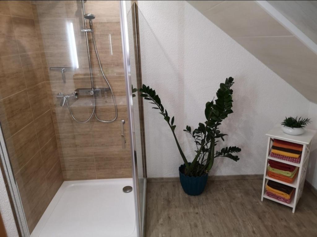 Ahornweg Ferienwohnung photo 2