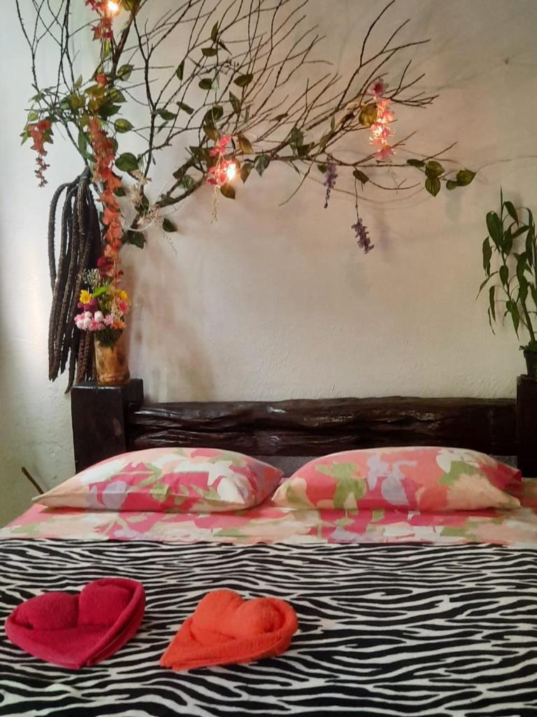 Eco Hostal Tierra de Agua y Fuego photo 3