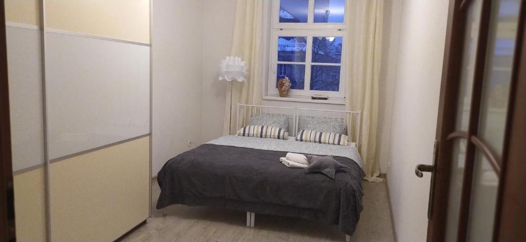 Apartament u podnóża Gór Stołowych photo 3