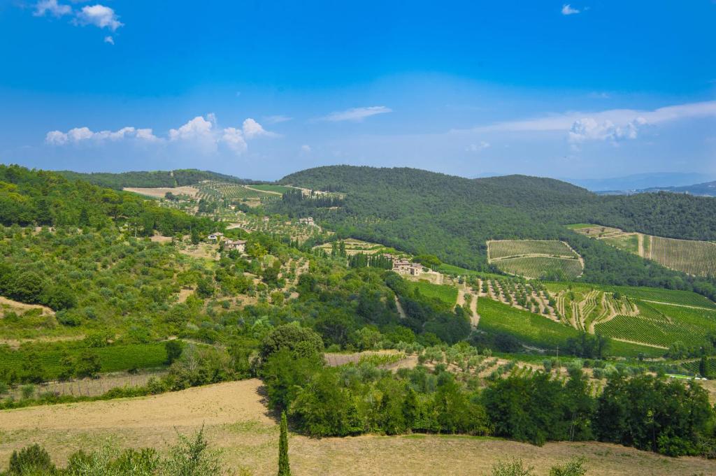 Villa Chianti with pool near the vineyard photo 1