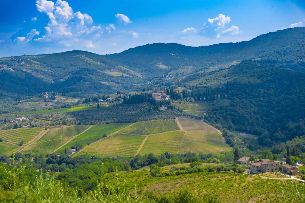 Villa Chianti with pool near the vineyard