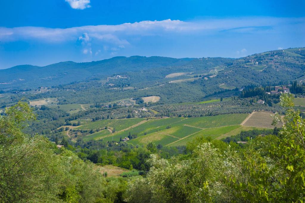 Villa Chianti with pool near the vineyard photo 2