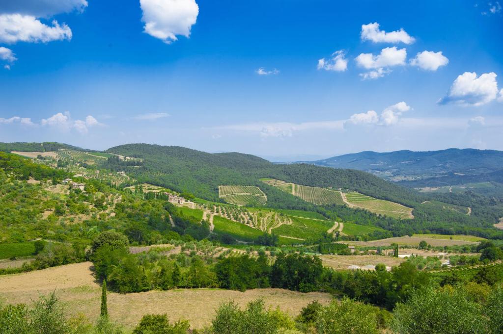 Villa Chianti with pool near the vineyard photo 4