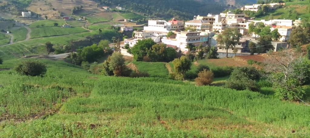 Ketama bizi maison d’hôtes