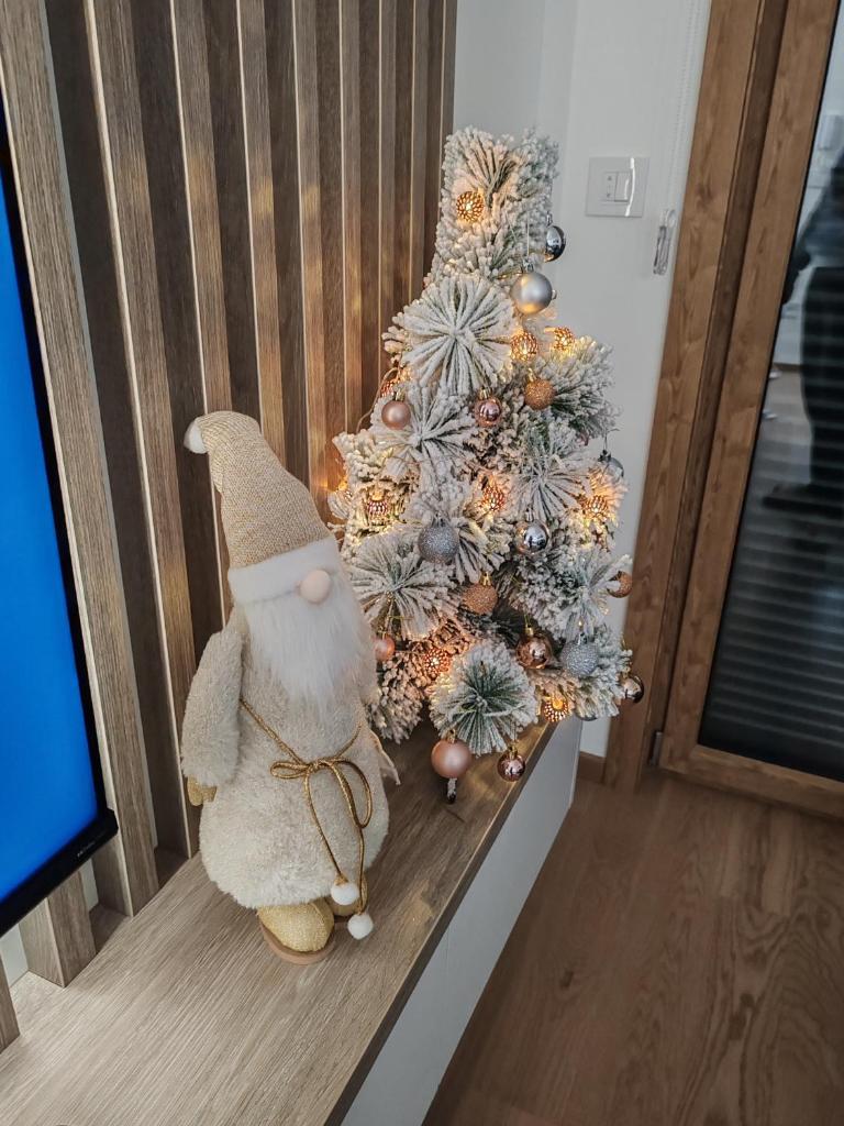 Apartman Bojic photo 4