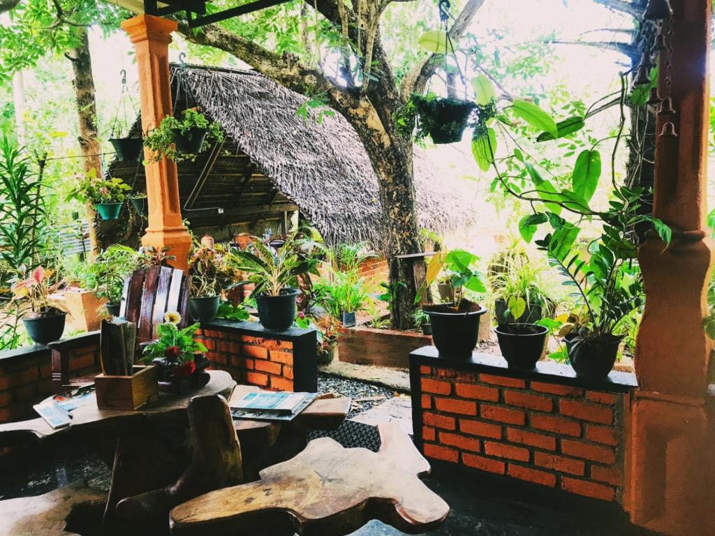 Oleena Home Stay photo 1