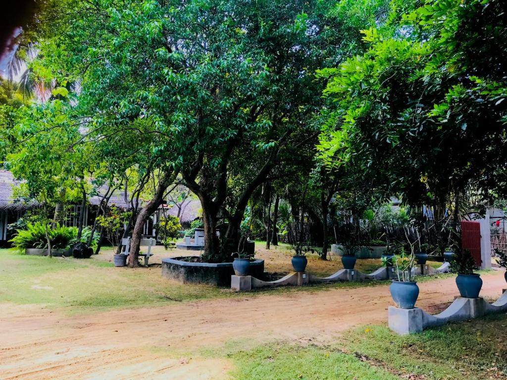 Werala Beach Resort photo 3