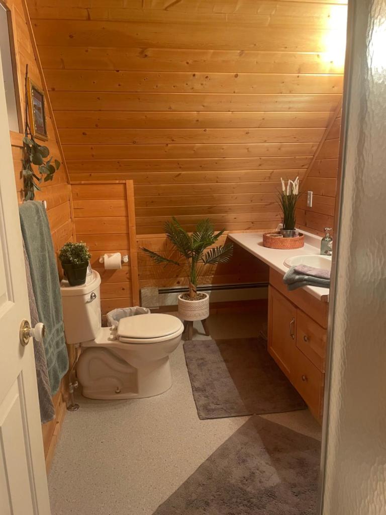 The Loft at Nature's Getaway Mountain Resort photo 3