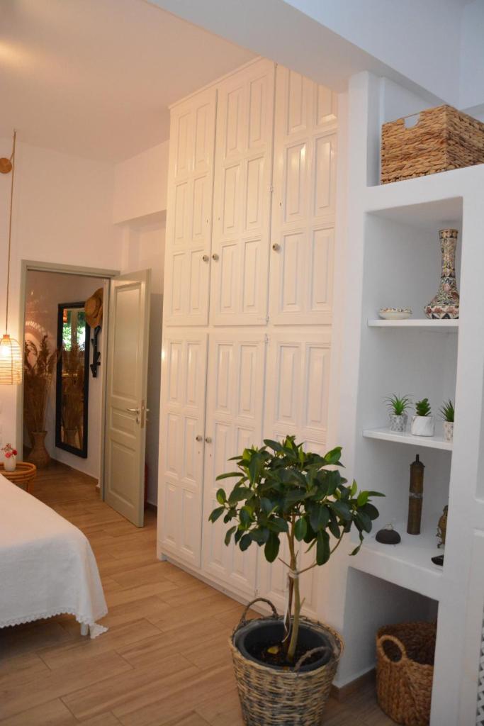Patmos Little Suites photo 2
