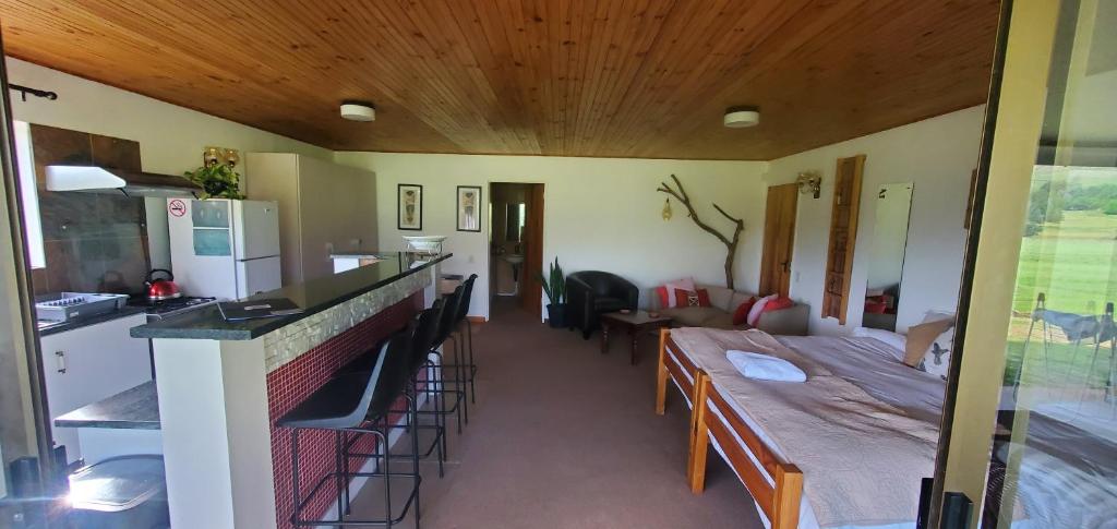 Aspen Villa Misty Mountain Studio photo 1