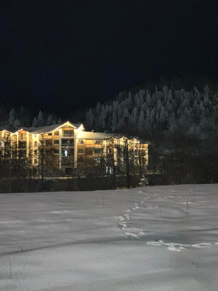 Crystal Woods photo 2