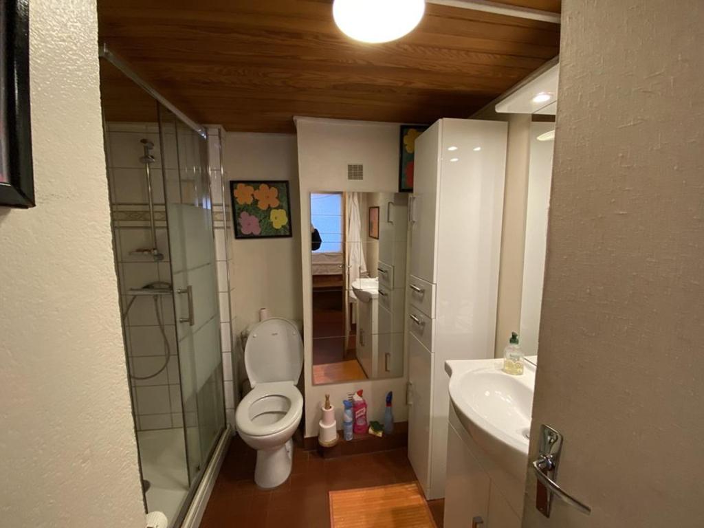 Appartement Crest-Voland, 2 pièces, 5 personnes - FR-1-733-149 photo 4