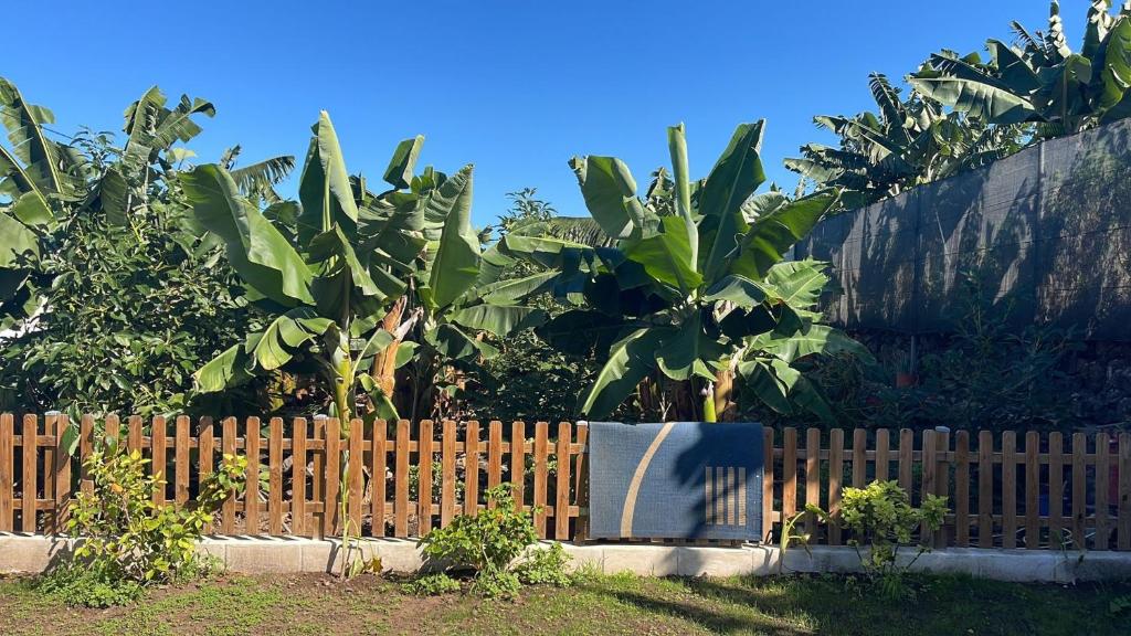 Finca Samuel photo 1