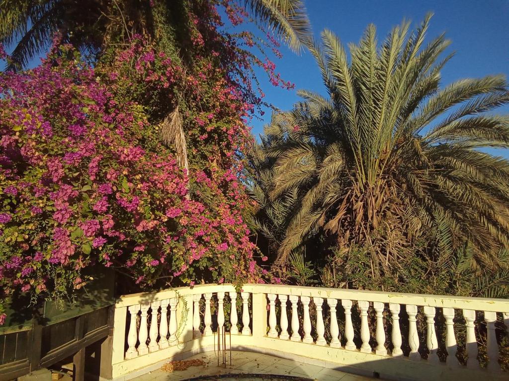 33 0ASIS RIAD RESORT