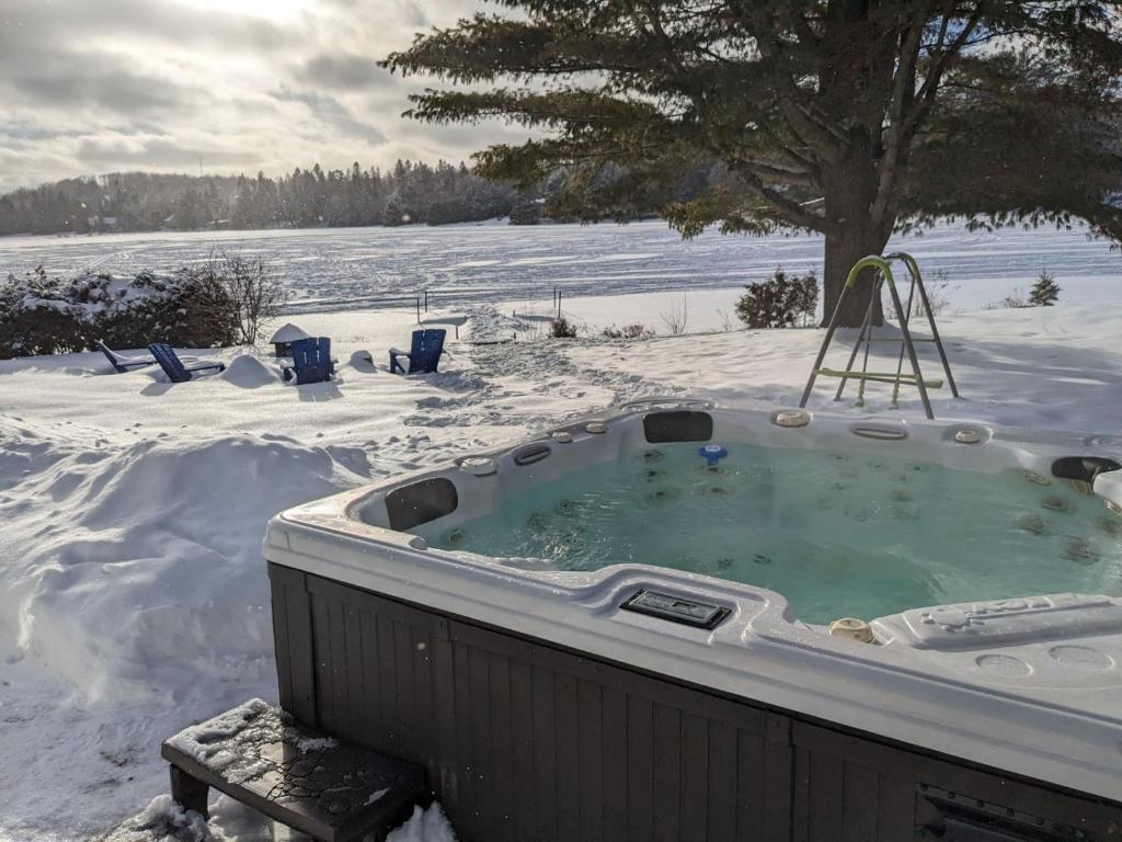 Private Beach, Jacuzzi & Ski photo 2