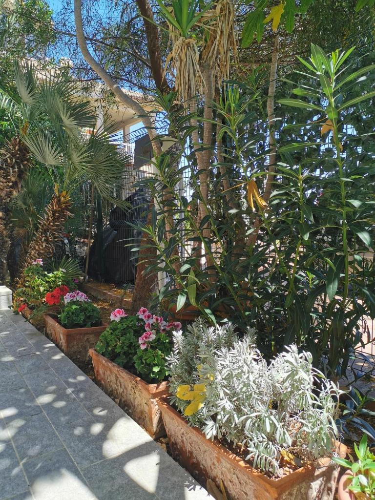 Panorama Apartment Addaura photo 2