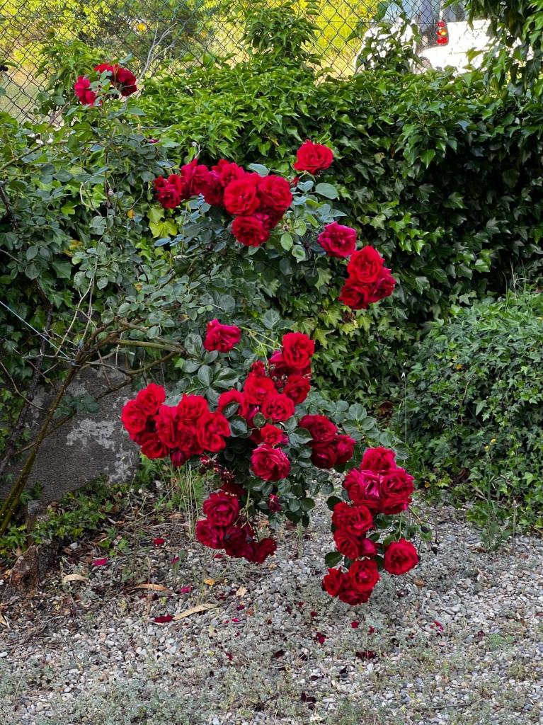 Le Belvédère d Espigoule photo 4