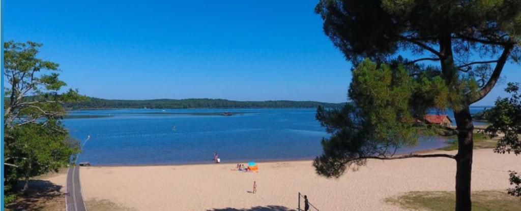 Vacances dans un mobil home climatisé dans les landes entre forêt, lacs et océan,