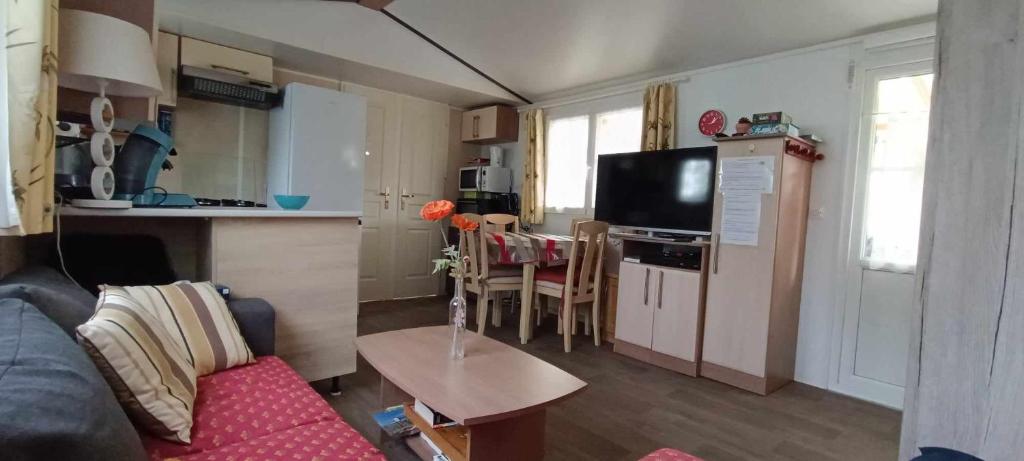 Vacances dans un mobil home climatisé dans les landes entre forêt, lacs et océan, photo 2