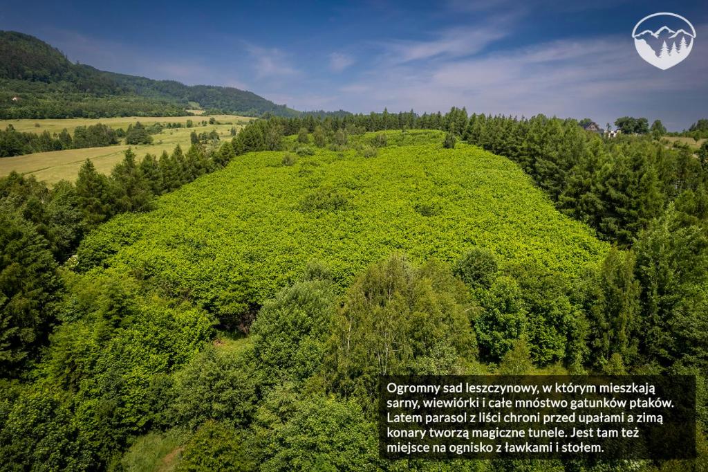 Agroturystyka Leszczynowe Wzgórze photo 1