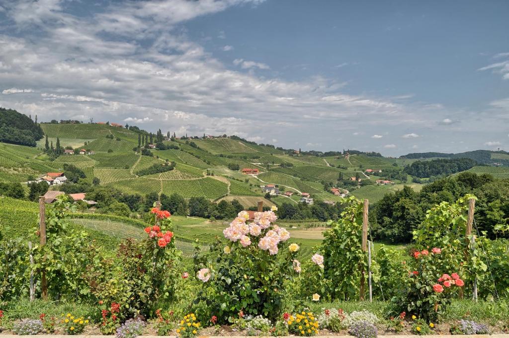 Farm Stay Jarc Vineyard photo 1