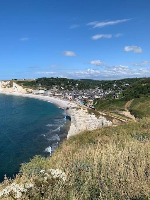 Les Falaises d'Albâtre photo 3