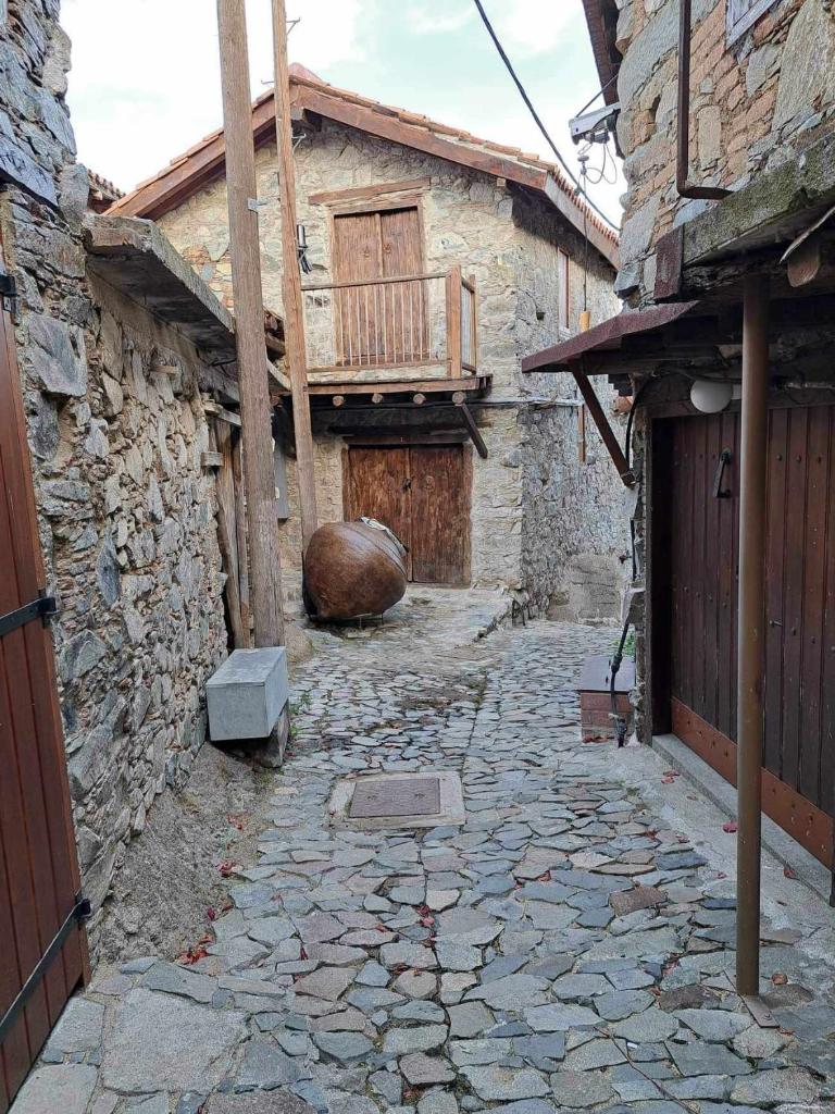 PITHARIA photo 1