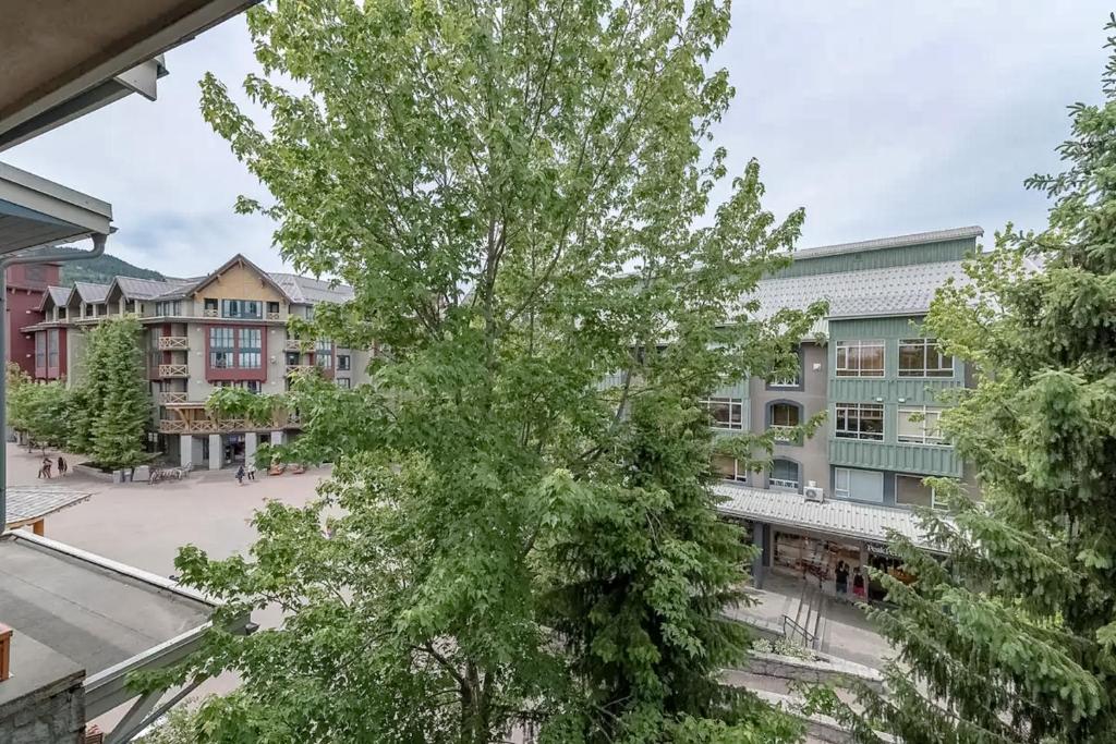 Town Plaza 427 photo 3