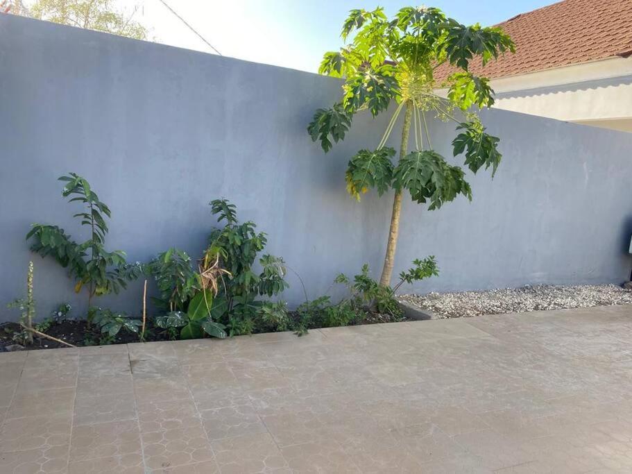 Saffy Guest House photo 4