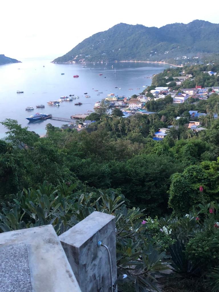 Ocean View Villa photo 4